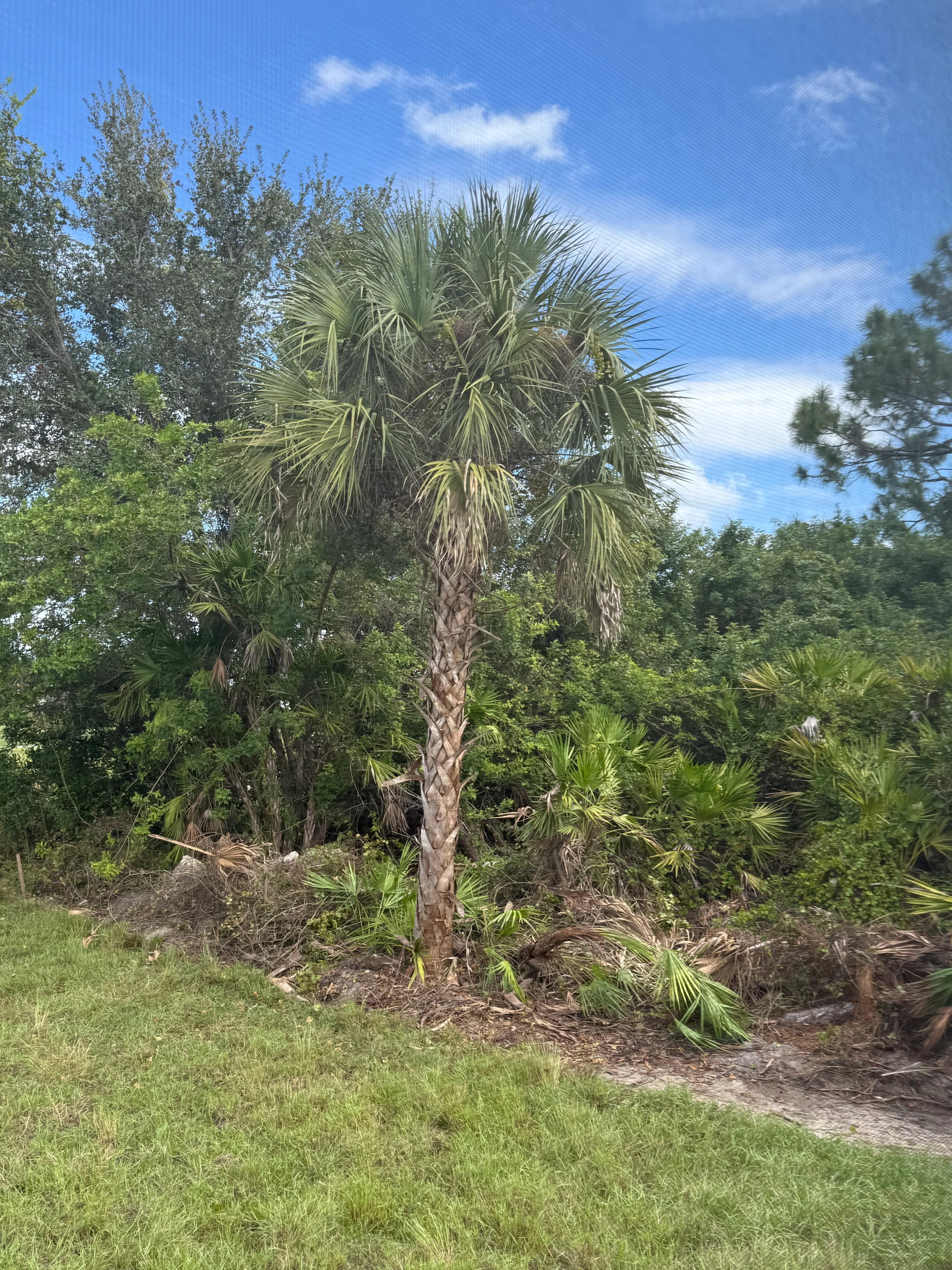 Villa Florida Heaven 4